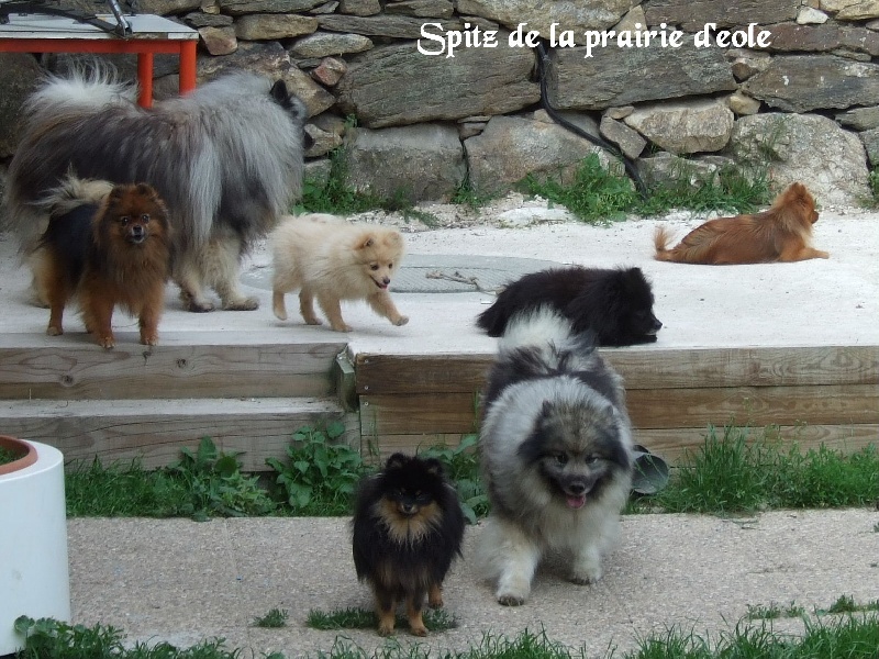 PHOTO DU MOIS